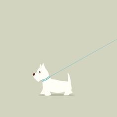 a white dog is pulling a red leash on a gray background with the words,