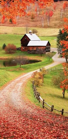 an autumn scene with a country road leading to a barn