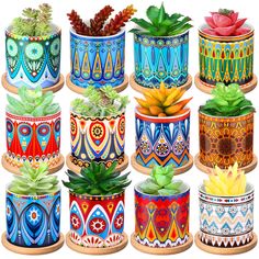 there are many different colored pots with plants in them on the same pot as each other