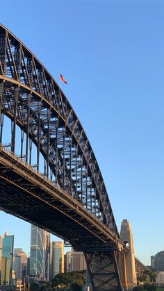 a large bridge spanning the width of a city