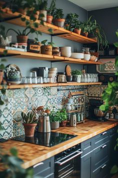 a kitchen filled with lots of potted plants on top of wooden shelves next to a stove