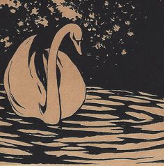 a drawing of a swan floating in the water