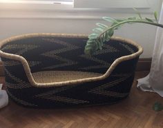 a plant in a black basket on the floor