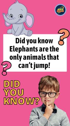 Fun Facts About Elephant for Kids | Elephant Facts Did You Know | Elephant Knowledge | Daily General Knowledge | General Knowledge Education | General Knowledge Everyone Should Know | Special Education | Did You Know Animal Facts | Did You Know Facts Mind Blown Science | Interesting Animal Facts for Kids Interesting Animal Facts, Panda Facts, Educational Facts, Animal Facts Interesting, Animal Facts For Kids, Nature Lessons