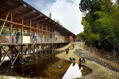 people standing on the side of a wooden bridge