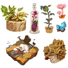 an image of plants and rocks in pots