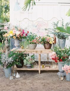 an instagram page with flowers and plants in pots on the table, which is also for photoshopping