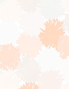 an orange and white flower wallpaper with pink flowers on the back droping down