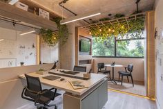 an office with plants growing on the wall and desks in front of it,