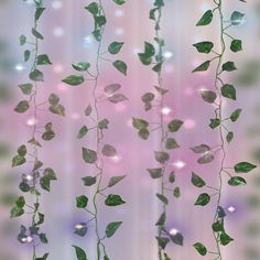 some green leaves are hanging from the side of a curtain with lights in the background