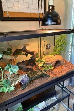 an aquarium filled with plants and rocks on top of a table next to a lamp