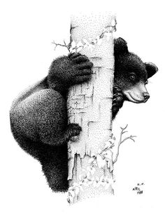 a drawing of a bear climbing up the side of a tree with its paw on a branch