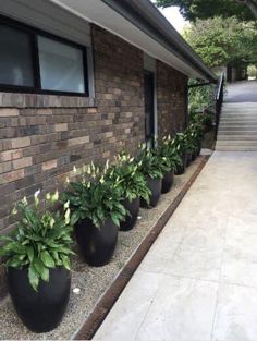 several large black planters line the side of a brick building