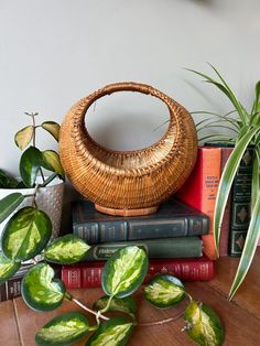 there is a basket on top of some books with plants in the corner next to it