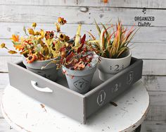 three potted plants sitting in a tray on top of a table