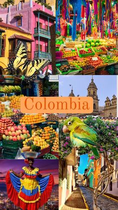 collage of colorful images with the words colombia