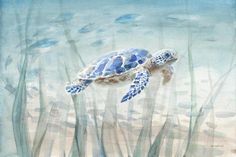 a painting of a sea turtle swimming in the ocean with grass and sand around it