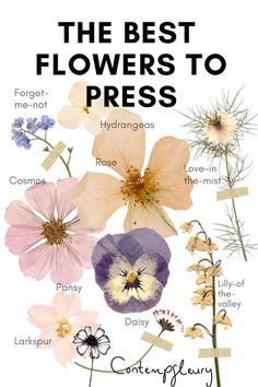 the best flowers to press poster