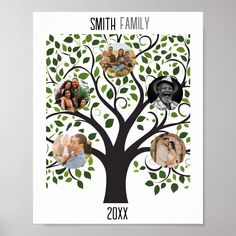 a family tree is shown with photos on it