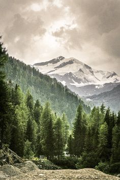 the mountains are covered in snow and green pine trees, with a cloudy sky above them