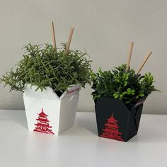 two small pots with plants in them on a table