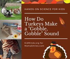 thanksgiving activities for kids to make turkeys and gobble sound with the title how do turkeys make a gobble sound?