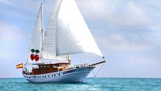 a sailboat with white sails in the ocean