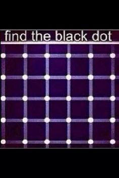 the words find the black dot are written in white letters on a dark purple background