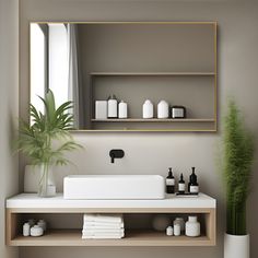 a white sink sitting under a bathroom mirror next to a green plant and potted plant