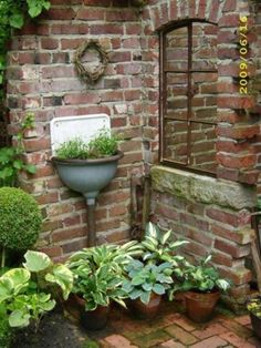 an old brick wall with potted plants and a toilet