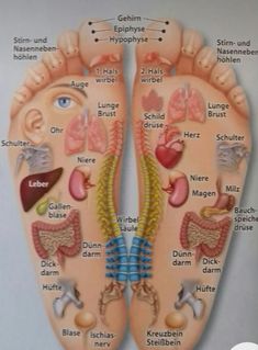 Punkty Spustowe, Full Body Massage Techniques, Reflexology Foot Chart, Foot Reflexology Massage, Body Massage Techniques, Latihan Dada, Bolesti Chrbta, Hand Reflexology, Massage Therapy Techniques