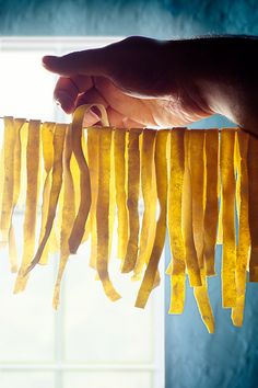 a person holding some kind of food in front of a window with sunlight coming through it