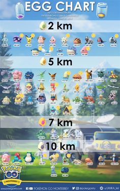 an info sheet showing the different types of cars and trucks in front of each other