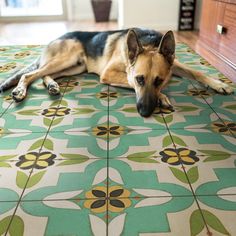 a dog laying on top of a floor next to a wooden cabinet and drawers in a room