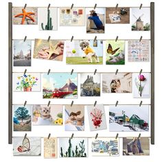 PRICES MAY VARY. Multi Photo Display - The wood photo frame comes with 30 "clothespins", 6 short wood pieces and 5 twine cords, which satisfies multi pictures display Wonderful Decoration - Great way to organize and display pictures, casual and neat design; fun and unique way to liven up your home, office or dorm room Easy Assembling and Mounting - Just connect the woods to be a frame and hang it on the wall; mounting hardwares included; suitable for both horizonal and vertical wall mounting Fle Display Wall Ideas, Office Photo Wall, Picture Display Wall, Pallet Pictures, Postcard Display, Clip Picture Frame, Picture Organization, Family Picture Frames, Display Frames