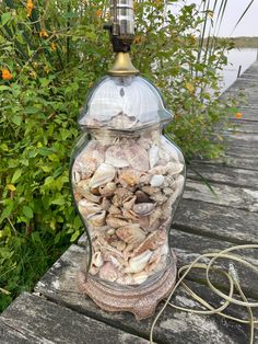 a glass jar filled with sea shells sitting on top of a wooden table next to plants