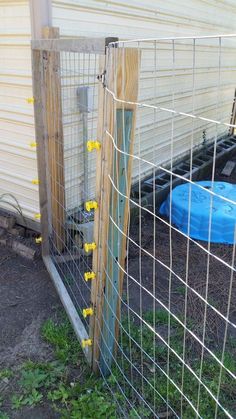 a fence that is next to a building with a blue object in the yard behind it