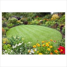 a green lawn surrounded by colorful flowers and greenery in the middle of a garden