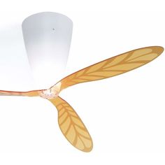 Blow Ceiling Fan - Image 1 Beauty Features, Blue Green Orange, Incandescent Lamp, Feature Light, Over 60, Green Orange, Light Source, Green And Orange, White Light