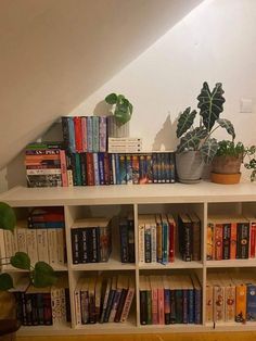 a bookshelf filled with lots of books next to a potted plant