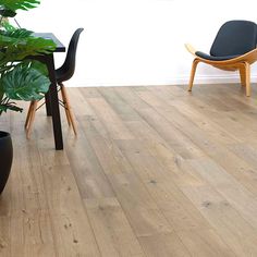 two chairs and a table in a room with wood flooring next to a plant