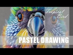 a painting of a colorful parrot with the words tropical bird pastel drawing on it