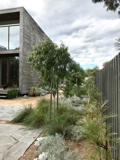 a stone path leads to a house with large windows and trees in the front yard