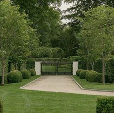 a garden with trees, bushes and a bench in the middle of it's lawn