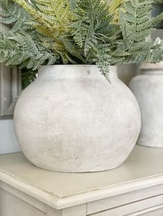 two white vases with green plants in them