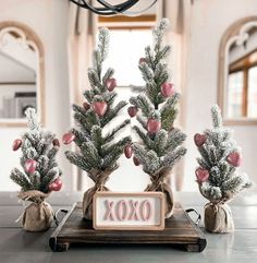 three small christmas trees are sitting on a table with the word xoxo in front of them