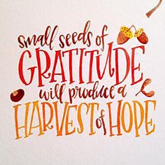 a hand lettered card with the words, small seeds of gratitude will produce a harvest of hope