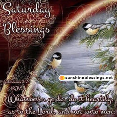 two birds sitting on top of a tree branch in the snow with words saying, sunday blessing