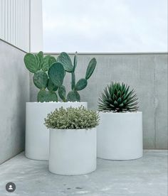 three potted plants sitting on top of each other