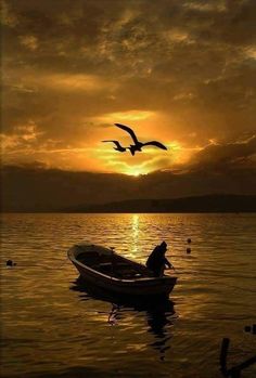 a person in a small boat on the water with birds flying over it at sunset